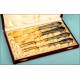 Case with four silver and gold flatware