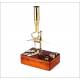 Antique Antique Cary Gould Type Microscope, England. 1850