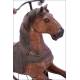 Antique Wood Carved Tricycle with Horse Shape. XIX Century - Early XX Century.