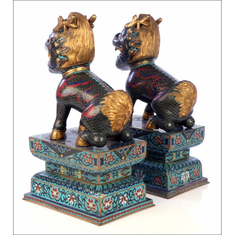 Pareja de Leones de Fo Antigua en Cloissoné Chino. China, Circa 1920