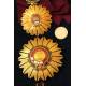 Peru. Order of the Sun. Mint. With its case