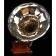 Elegant Deluxe Parlophon Gramophone in Excellent Condition. Germany, 1915