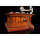 Elegant Deluxe Parlophon Gramophone in Excellent Condition. Germany, 1915