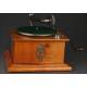 Beautiful horn gramophone made in 1915. In very good condition and working.