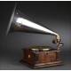 Neuton horn gramophone in very good condition. Germany, Circa 1915. Magnificent sound.