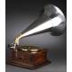 Neuton horn gramophone in very good condition. Germany, Circa 1915. Magnificent sound.