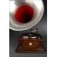 Neuton horn gramophone in very good condition. Germany, Circa 1915. Magnificent sound.