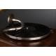 Neuton horn gramophone in very good condition. Germany, Circa 1915. Magnificent sound.