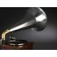 Neuton horn gramophone in very good condition. Germany, Circa 1915. Magnificent sound.