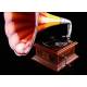 Spanish horn gramophone. His Master's Voice. Barcelona, 1910. In perfect working order.