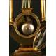 Antique gilt bronze and Lyre shape clock. S. XIX