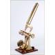 Antique J. Newton & Son Professional Microscope. England, 1870