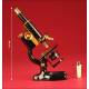 Superb Professional Bautsch & Lomb Microscope of the Year 1897.