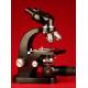 Elegant Ernst Leits Wetzlar Binocular Microscope. 1950s