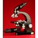 Elegant Ernst Leits Wetzlar Binocular Microscope. 1950s