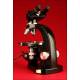 Elegant Ernst Leits Wetzlar Binocular Microscope. 1950s