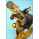 Antique R & J Beck Brass Microscope - 1880s