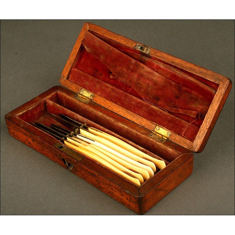 Antique Surgeon's Case with 6 Bone Handled Scalpels, 1870.