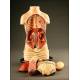 Anatomical Model for Internal Medicine Demonstrations with Removable Organs. 1900