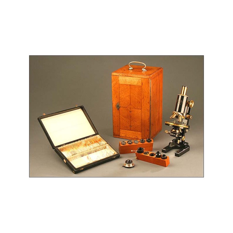 Professional Microscope Carl Zeiss Jena, Germany, Year 1910-1920