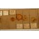 Microscope Specimens, Ca. 1.900