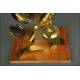 Exclusive English Gilt Brass Microscope, 1860. Very Well Preserved and Working