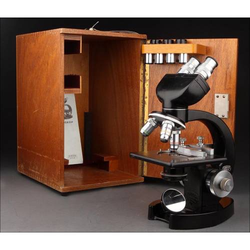 Steindorff Microscope, 1960s