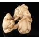 Antique Hand Carved Ivory Netsuke with Two Fu Lions. Japan, Circa 1900