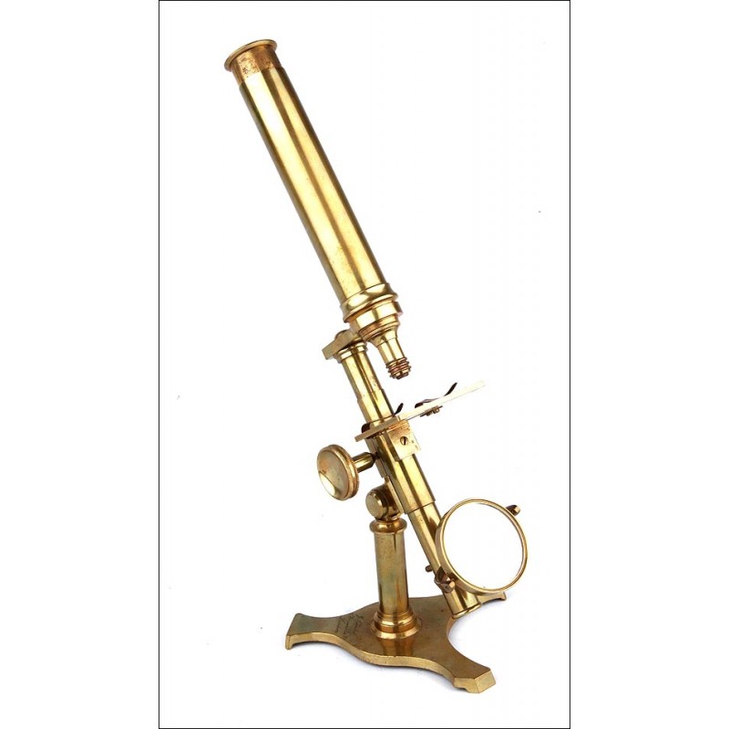 Antique J. Amadio Gilt Brass Microscope in Excellent Condition. England, Circa 1850