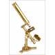 Antique J. Amadio Gilt Brass Microscope in Excellent Condition. England, Circa 1850