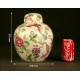 Elegant Chinese Porcelain Vase with Lid. 19th Century. Imperial Qianlong Seal