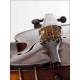 Fantastic Antique Violin made by Joseph Chardon. Paris, 1872. With Original Case