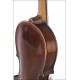 Impressive Violin Made in 1706 by Master Matthias Albanus. With Signed Label